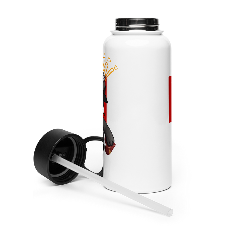 Stainless steel straw lid water bottle